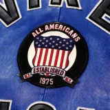 Avirex Icon Blue Leather Bomber Ja